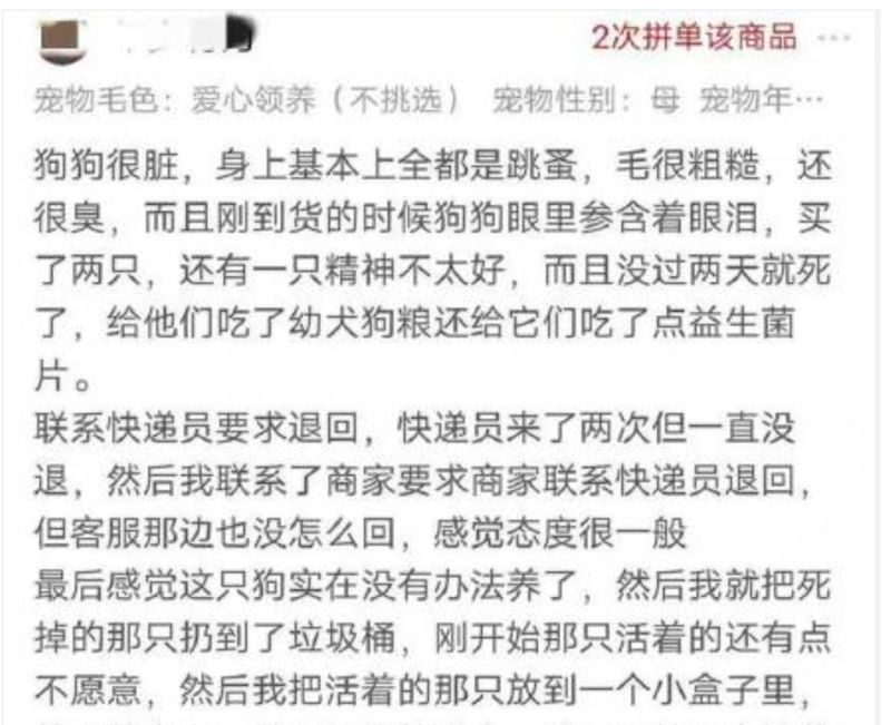 ▲(圖/翻攝自)