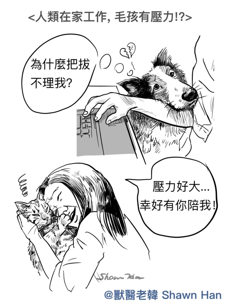 ▲親人毛孩會覺得自己的得到的注意力不夠而焦慮,一般的毛孩則會覺得應付人類的時間怎麼變長了!(圖/Facebook@