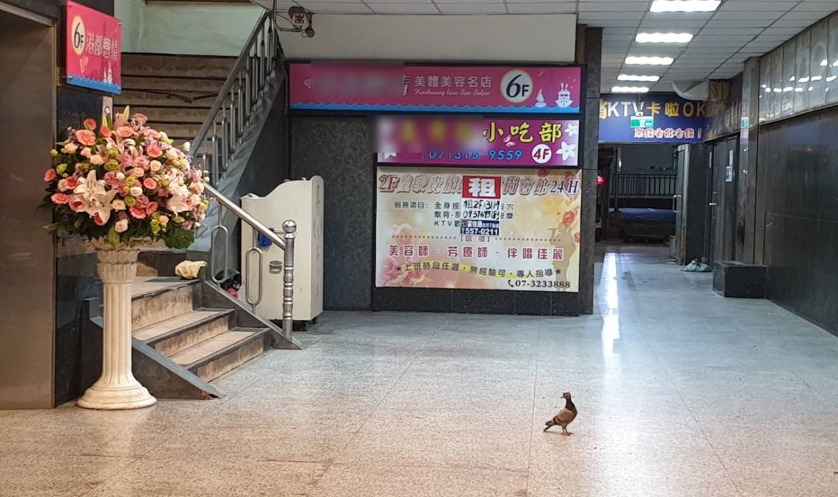 ▲高雄市防疫升級，休閒娛樂場所皆暫停營業，在高雄知名的娛樂大樓前遇見一隻「鴿子」，意外被警方拍下「門可羅雀」的有趣照片。（圖／三民一分局提供）