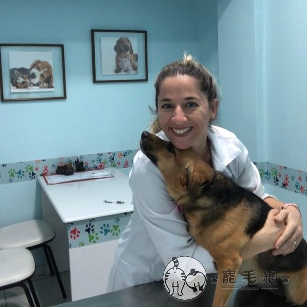 ▲原來Cambaxirra是Leticia養的狗狗，經常到診療室擔任小助理，這天是她示範如何在抽血打針的過程中降低毛孩的緊張，也同時宣導為毛孩施打疫苗與健康檢查的重要性！（圖／IG