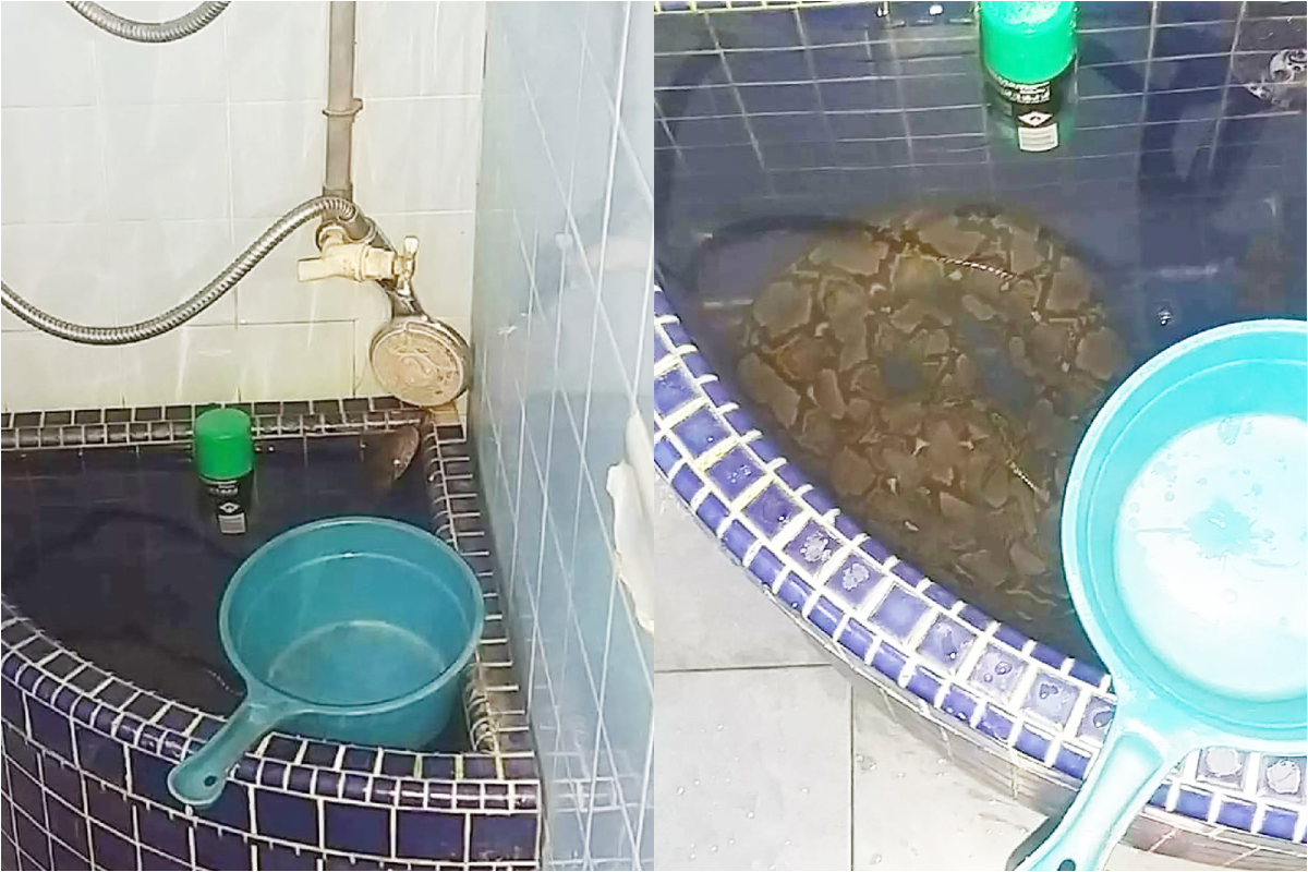 ▲(圖/翻攝自推特）