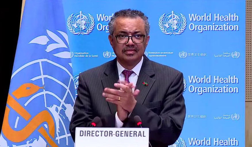 ▲德國、日本及多個友邦分別於委員會及全會總討論上強調，抗疫合作不應遺漏任何特定地區，或呼籲接納台灣參與WHA。（圖／翻攝自WHO影片）