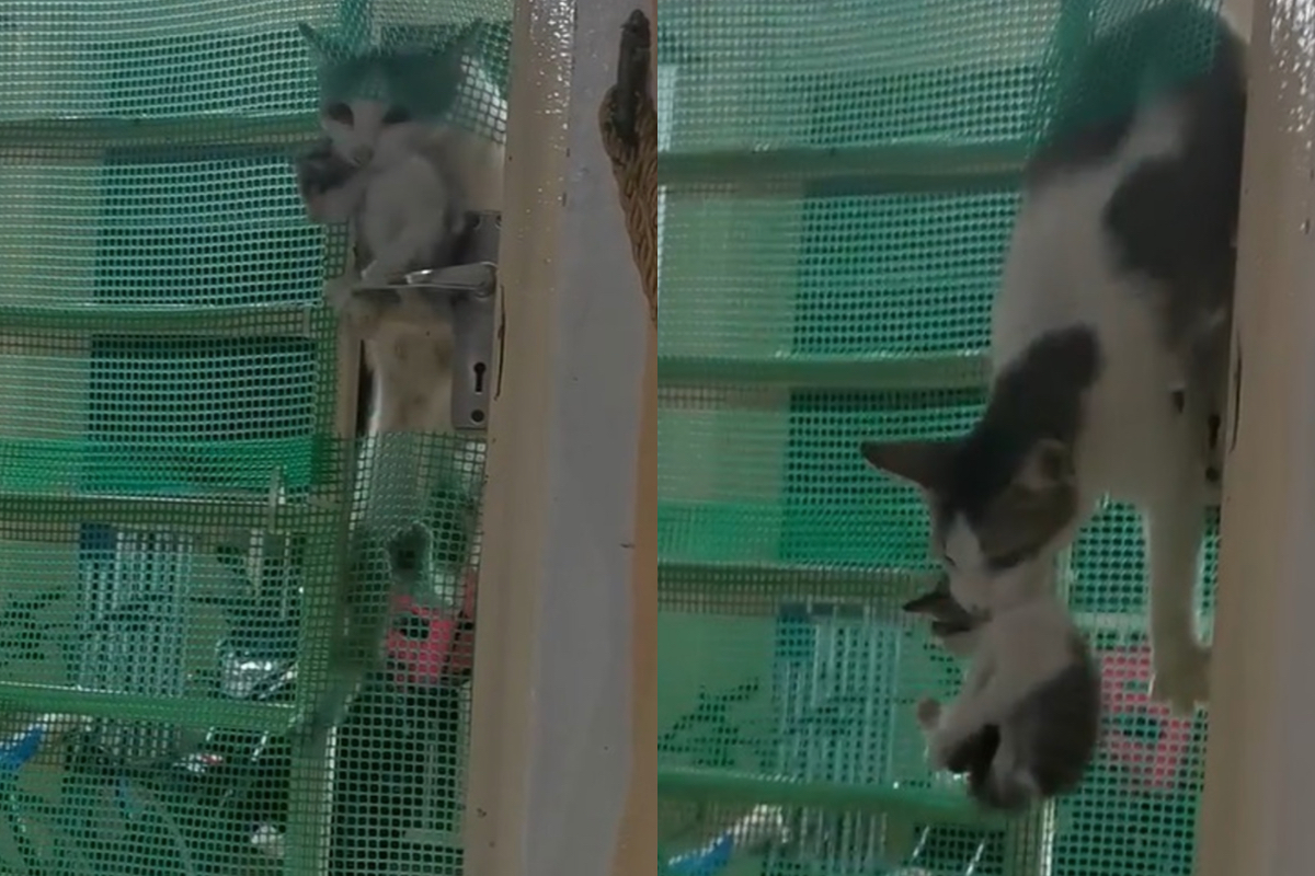 ▲ （圖/翻攝自臉書）