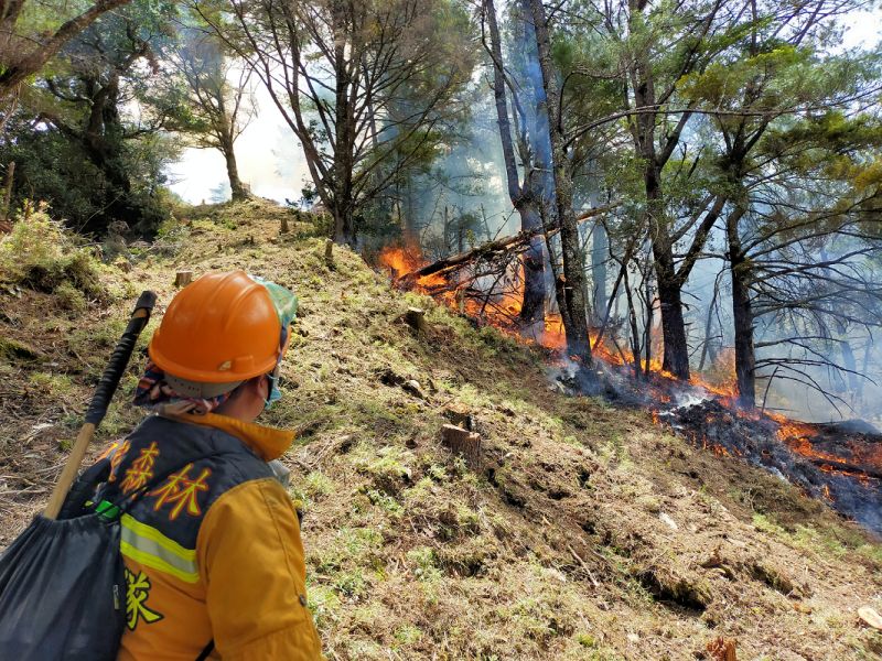 ▲NCC表示，引發玉山森林大火的喬建中已調職，並已主動函送監察院。（圖／林務局提供）
