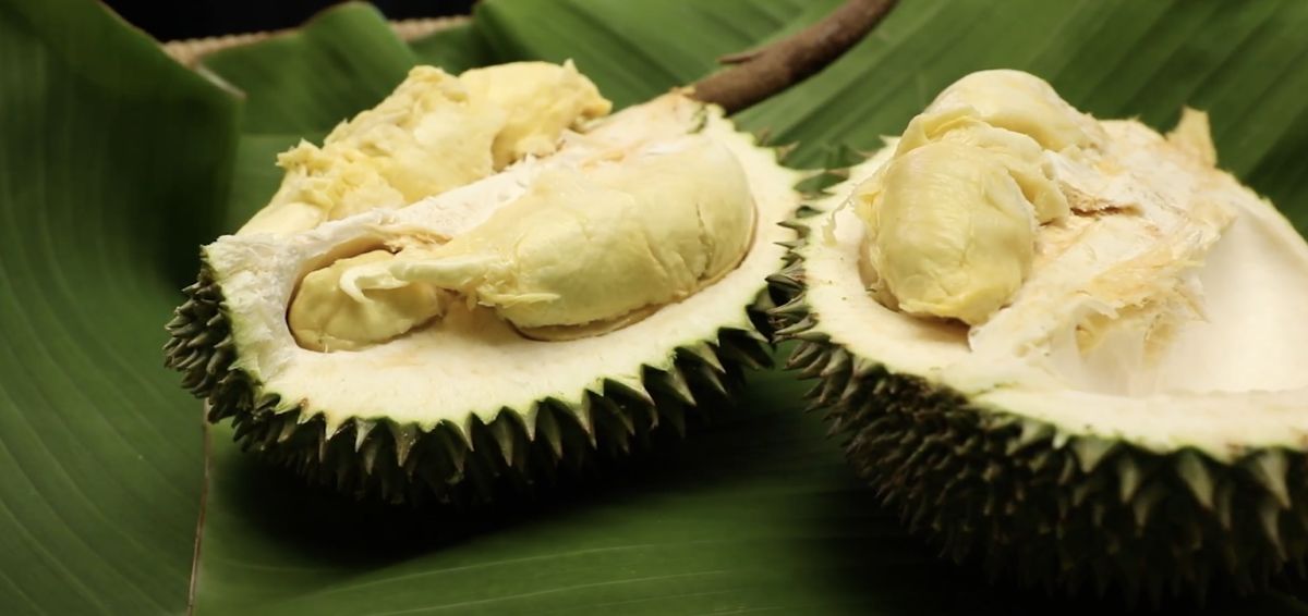 ▲泰國榴槤。（圖／ANN提供）