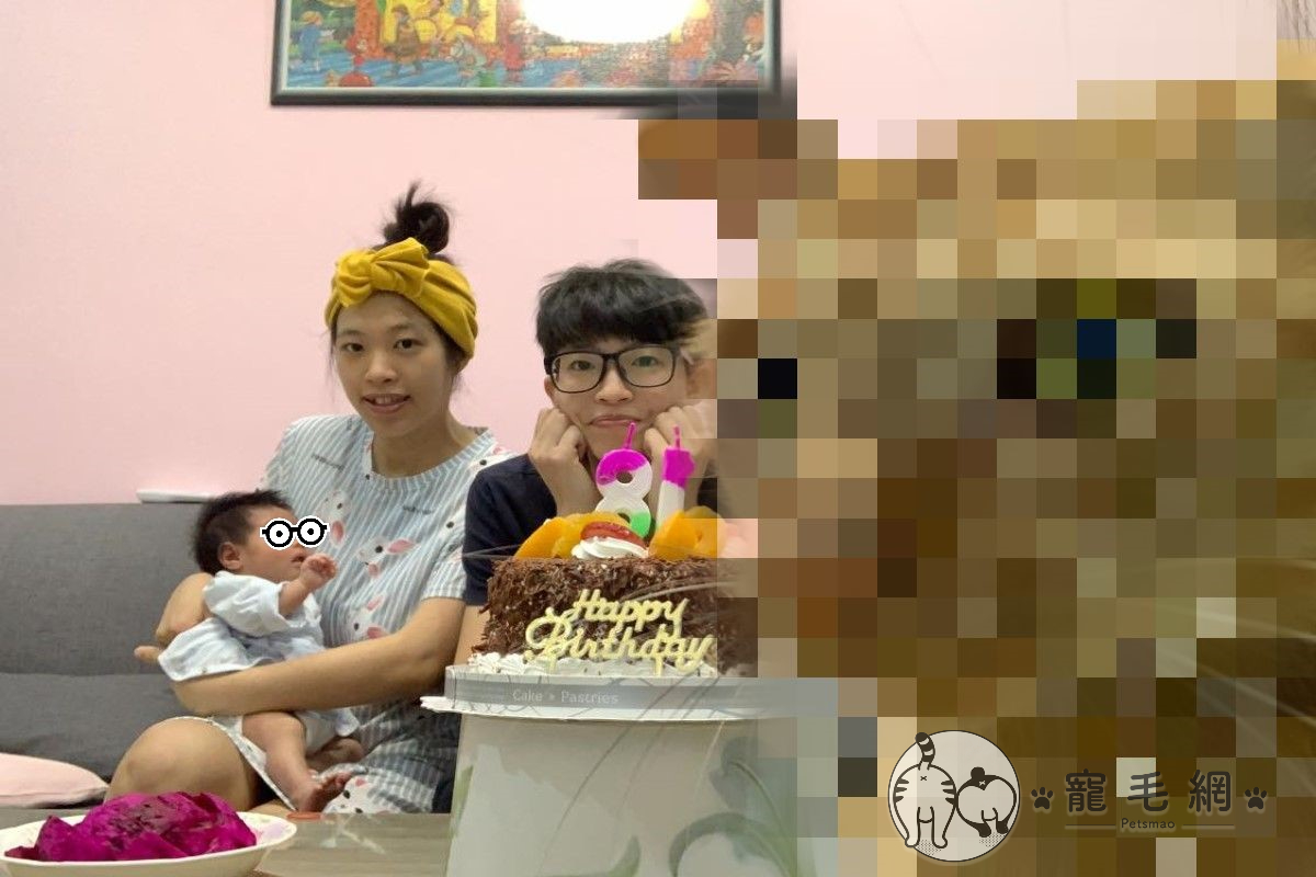 潘小姐準備替男友、男友妹妹自拍合照，卻被龐然大橘擋住鏡頭（圖／網友潘姿吟授權提供）