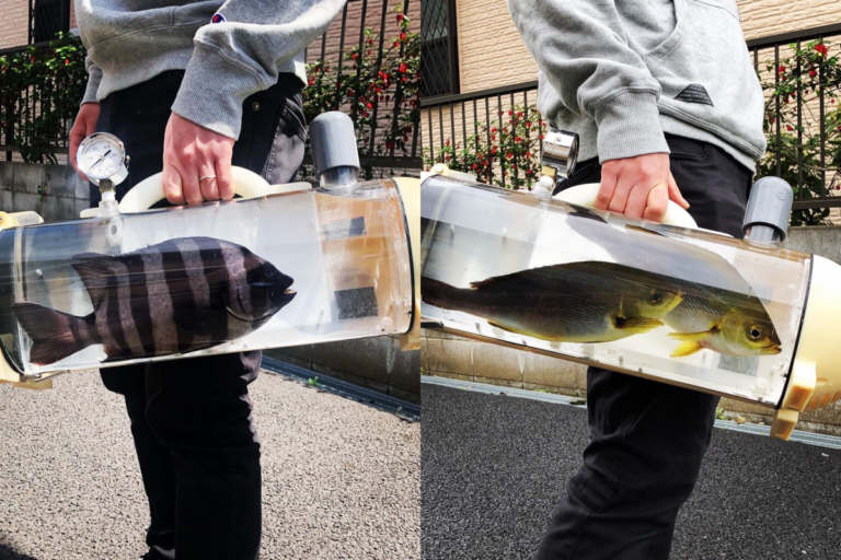 「活魚袋」是一種攜帶式魚缸，讓主人可以清楚看見寵物魚的動靜。（圖／IG@katsugyo_bag）