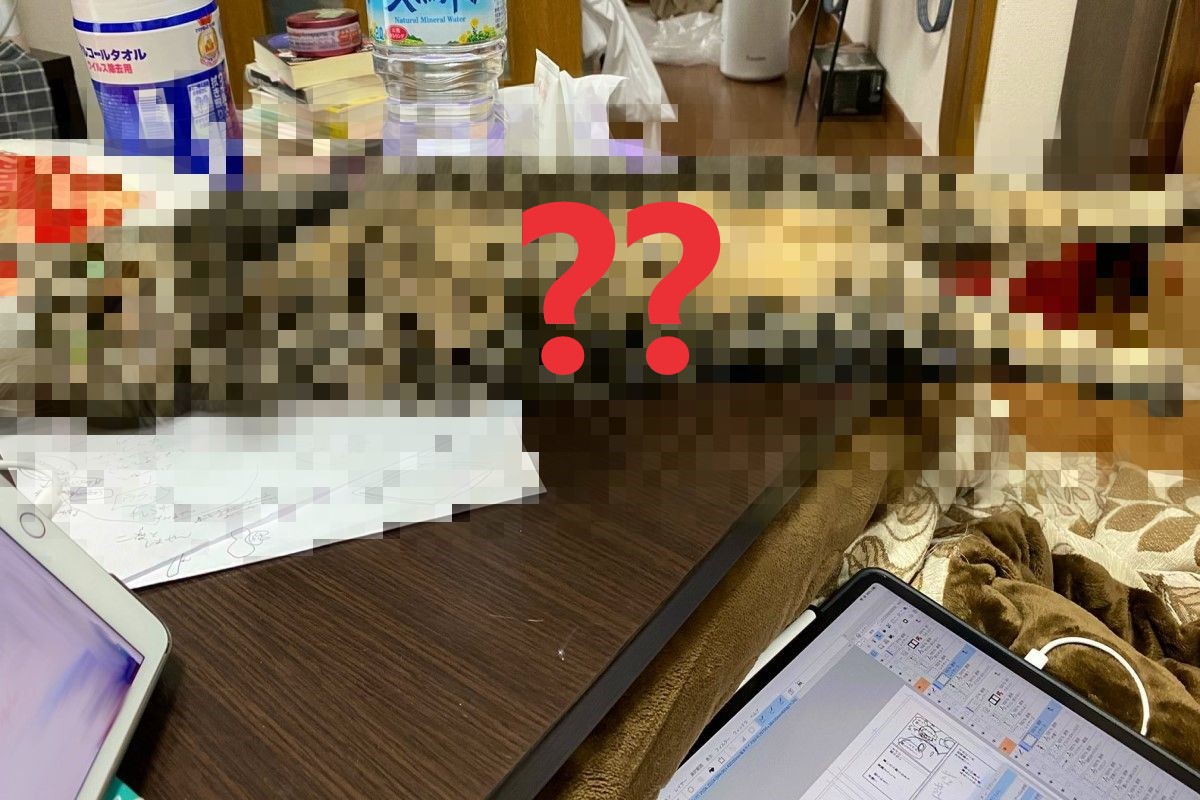 日本一名推主在家工作時，竟遭毛主子橫占桌面，意圖不讓人好好上班！（圖／twitter @kawakimon）