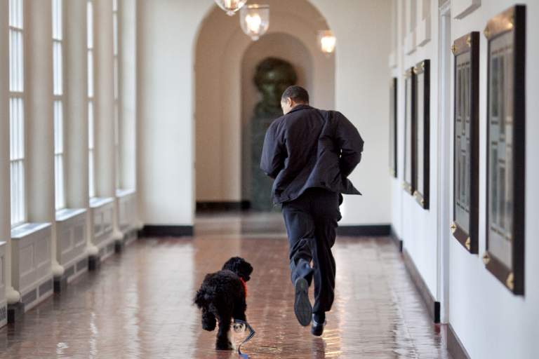 愛犬「波」不敵癌症離開人世，歐巴馬一家悲痛萬分。（圖／Twitter@ BarackObama）