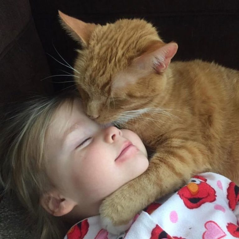 貝利非常愛這一家子，常常抱著寶寶一起睡覺。（圖／Instagram＠ bailey_no_ordinary_cat）