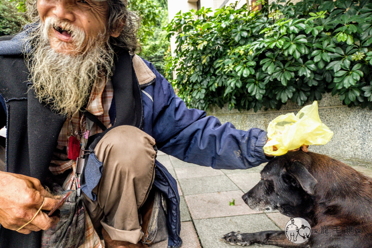 街友伯伯靠拾荒養活自己和心愛的狗夥伴。（圖／網友楊人宗授權提供）