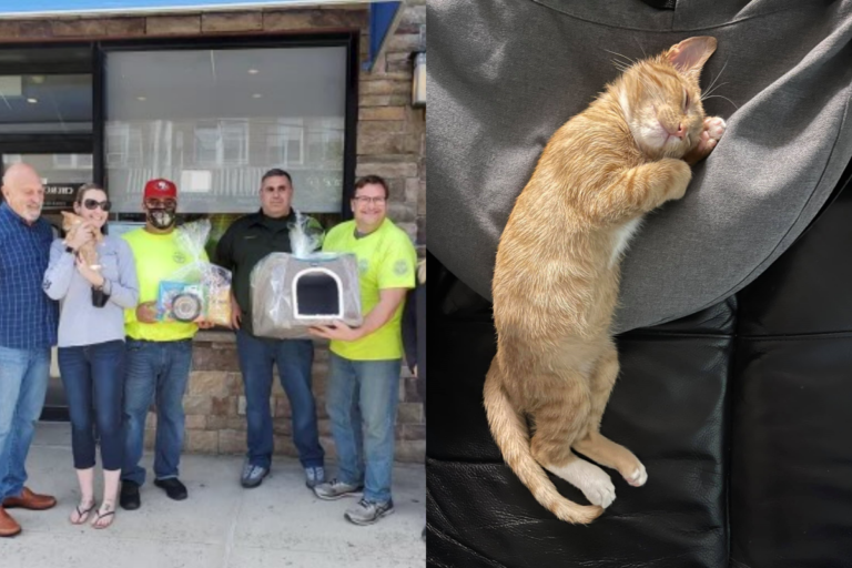 垃圾袋傳來「微弱喵叫聲」　清潔員翻開驚現10週小橘貓！
