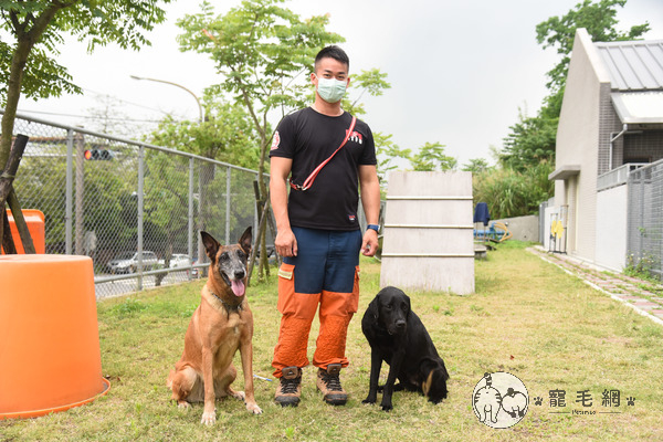 寵毛大使／搜救犬協助太魯閣號救援　隊員：牠們是無名英雄