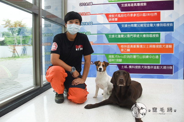 寵毛大使／搜救犬協助太魯閣號救援　隊員：牠們是無名英雄