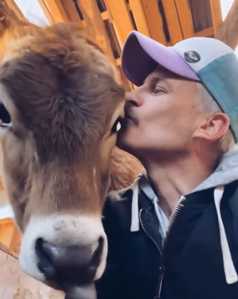 主人Joar Berge非常愛他的牛牛們。（圖／Instagram＠ moustache_farmer）