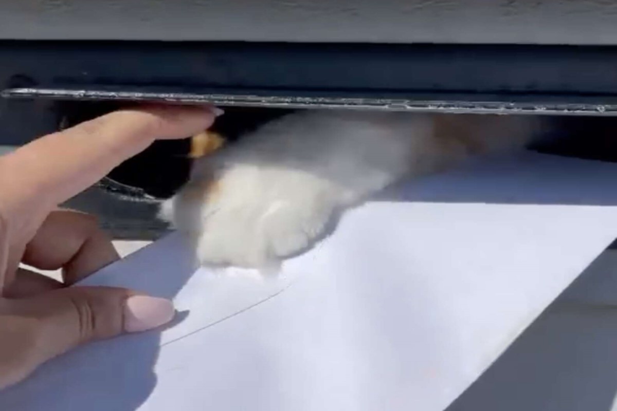 女網友日前送信時，竟遭毛毛手頻頻阻擋！（圖／tiktok @lizlara07）