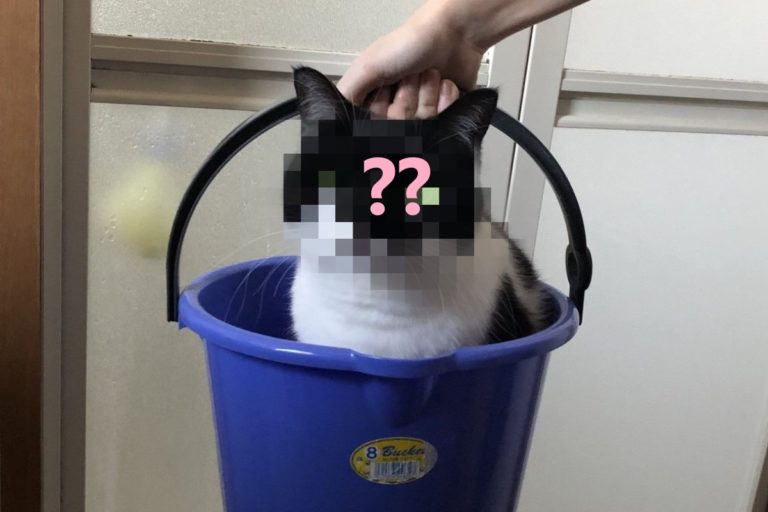 黑白貓一臉無奈地被「連桶帶貓」提進浴室。（圖／twitter @fukufuku_illust）