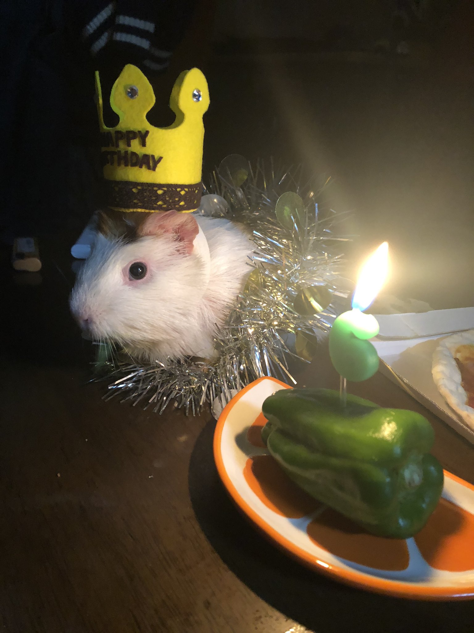 幫鼠鼠辦了一個生日趴體！（圖／Twitter＠ hirotan__vroom）