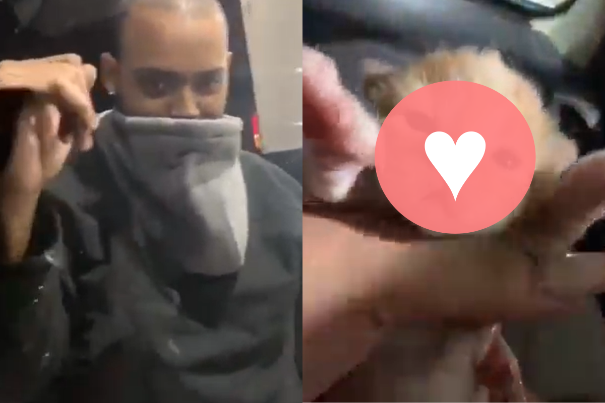 男子小心翼翼將「好東西」交給車主，看清才知是一隻貓咪！（圖／Facebook＠ Dominic Jones） 