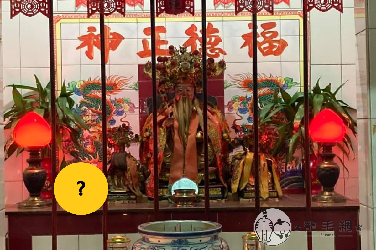 網友林先生日前玩寶可夢，經過土地公廟捕獲一隻「野生虎爺」！（圖／網友林俊達授權提供）