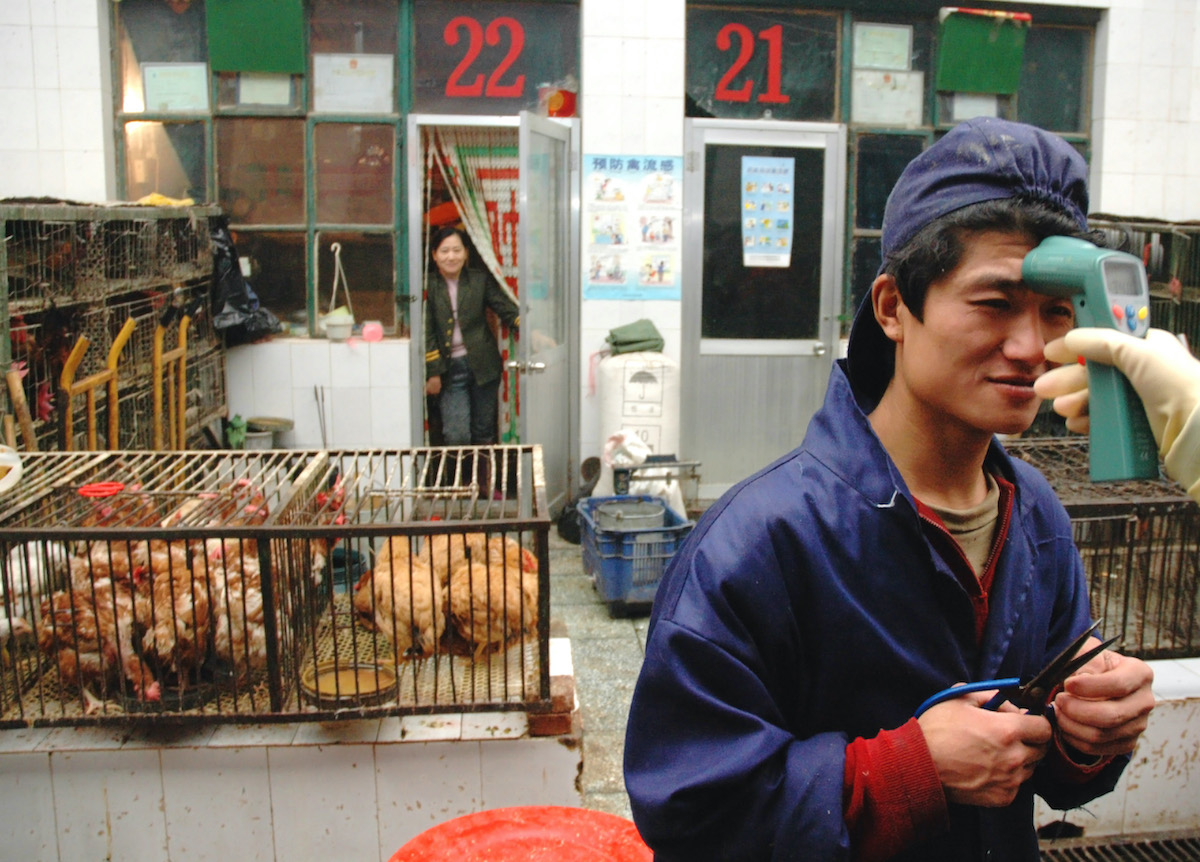 ▲中國衛健委今日通報江蘇發現一起H10N3禽流感「禽傳人」的個案，但專家研判疫情大規模傳播風險極低。（圖／美聯社／達志影像）