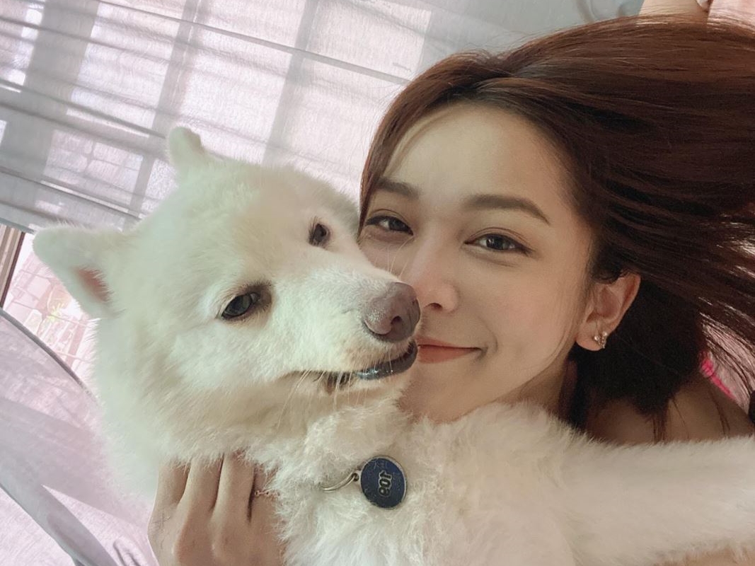 ▲獸醫系正妹蔡祥提醒聽眾，防範毛小孩成為病毒帶原。（圖／好好聽FM）