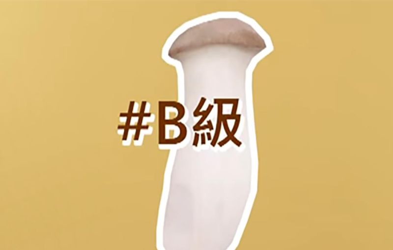 ▲B級杏鮑菇。（圖／翻攝自狐搜號《小乾倩倩的遊戲的美食》）