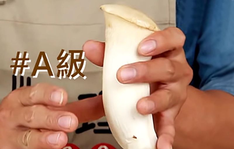 ▲A級杏鮑菇。(圖/翻攝自狐搜號《小乾倩倩的遊戲的美食》)