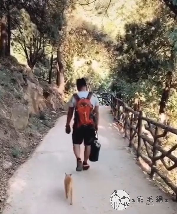 ▲浪浪趕緊跳起來跟上!(圖/網友靜格格授權提供)