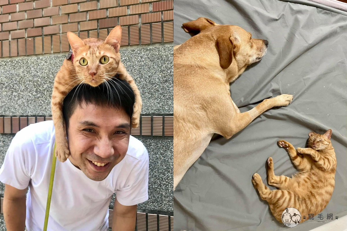 ▲蔣獸醫師要來為我們解答疫情下的寵物問題！（粉絲專頁@獸醫蔣蔣話 授權提供）