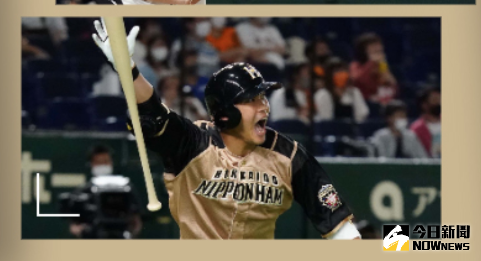 ▲日本火腿台灣好手王柏融（圖／取自火腿官網）