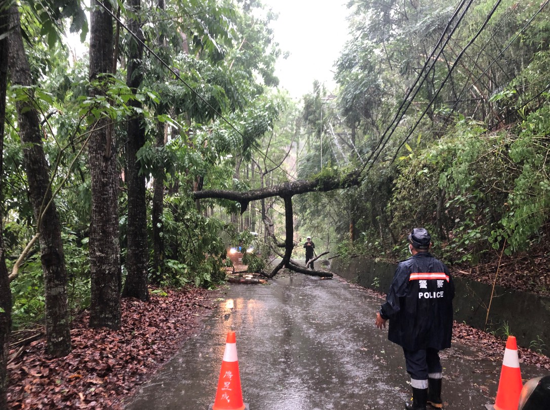 ▲瑪雅聯絡道路旁路樹不堪風雨吹打應聲倒塌，直接倒壓於電線上。（圖／六龜警分局提供）