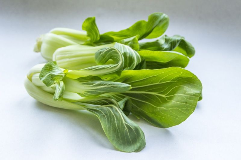▲一名網友做了炒青江菜,卻被家人嫌棄「太苦了!」對此,就有內行點出少了1步驟。(示意圖/翻攝Pixabay)
