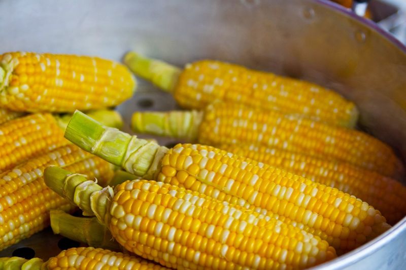 夜市「水煮玉米」美味關鍵在哪？老饕吐1步驟：香甜軟嫩
