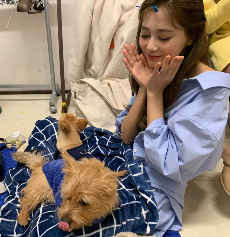 ▲▼MOMO跟志效曬出多張子瑜私生活美照。(圖/TWICE
