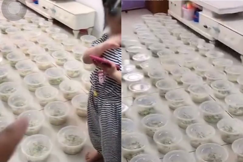 ▲女兒叫外送時,不小心多按了2個零,讓爸爸相當崩潰。(圖/翻攝自《點時新聞》