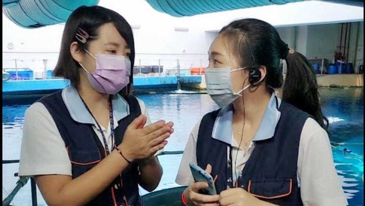 ▲海生館於臉書粉絲專頁推出兩檔「線上直播」節目。（圖／屏東海生館提供）