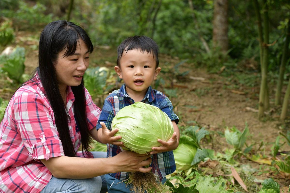 ▲熱血老師陳香吟認為，幫老農做服務的同時也是在省思自己，在這個變動的時代，如何能夠心安理得？（圖／陳香吟提供）