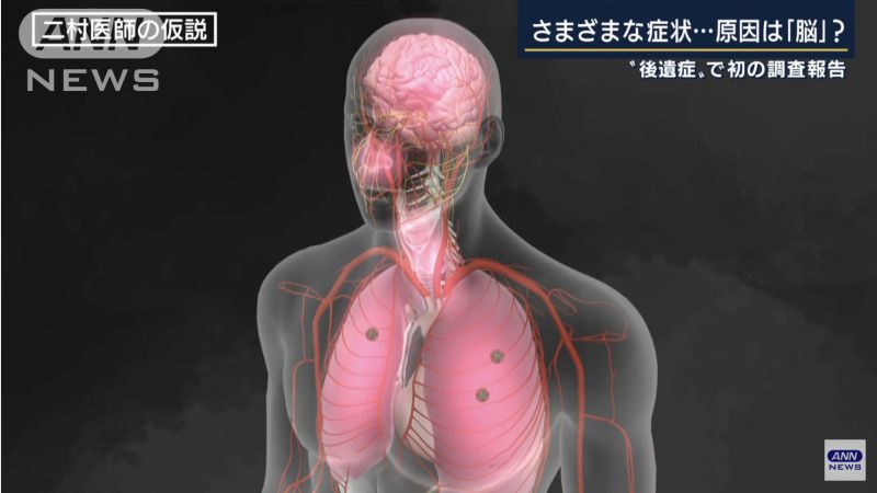 ▲日本專家指出很可能是因為呼吸系統發炎,導致腦部周圍也出現發炎症狀,進而造成腦部相關後遺症。(圖/翻攝自ANN
