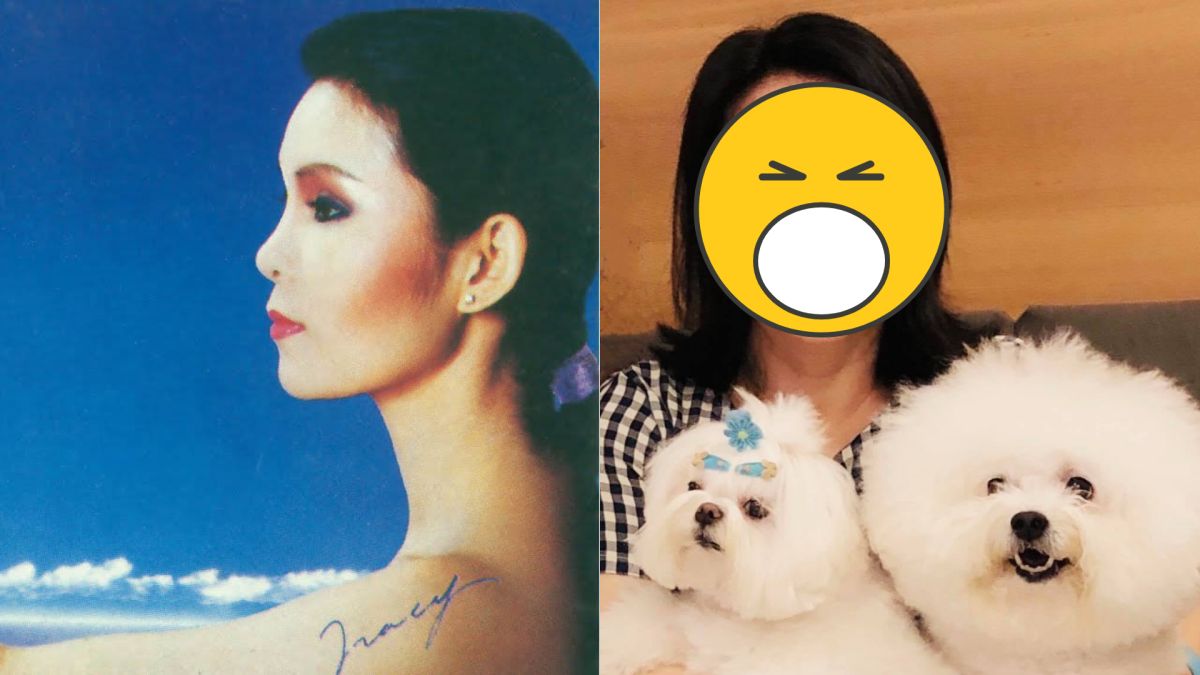 ▲黃鶯鶯近照掀起討論。（圖／黃鶯鶯臉書）