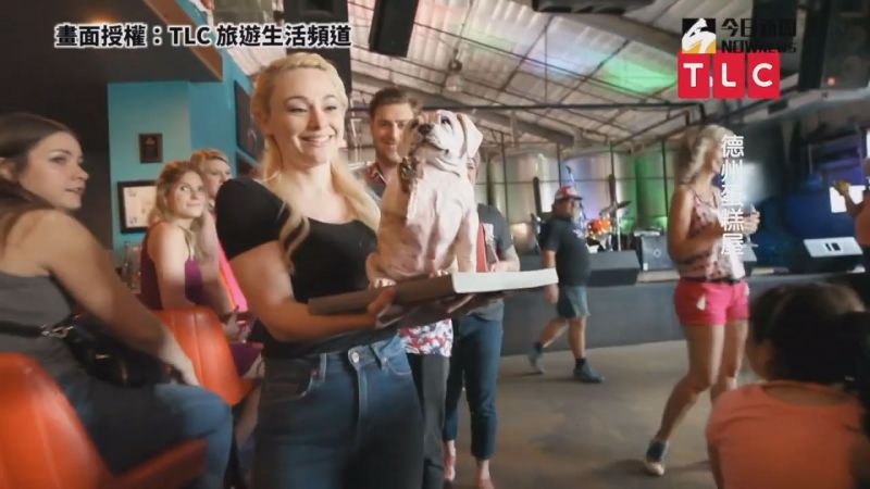 ▲擬真狗狗蛋糕讓粽人為之驚艷。(圖/TLC