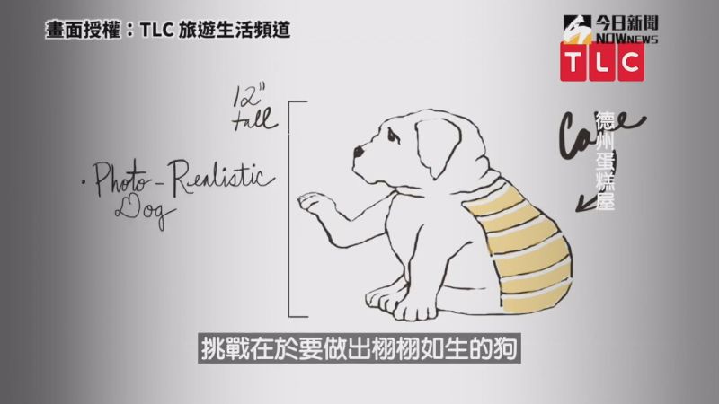 ▲擬真狗狗蛋糕設計圖。(圖/TLC