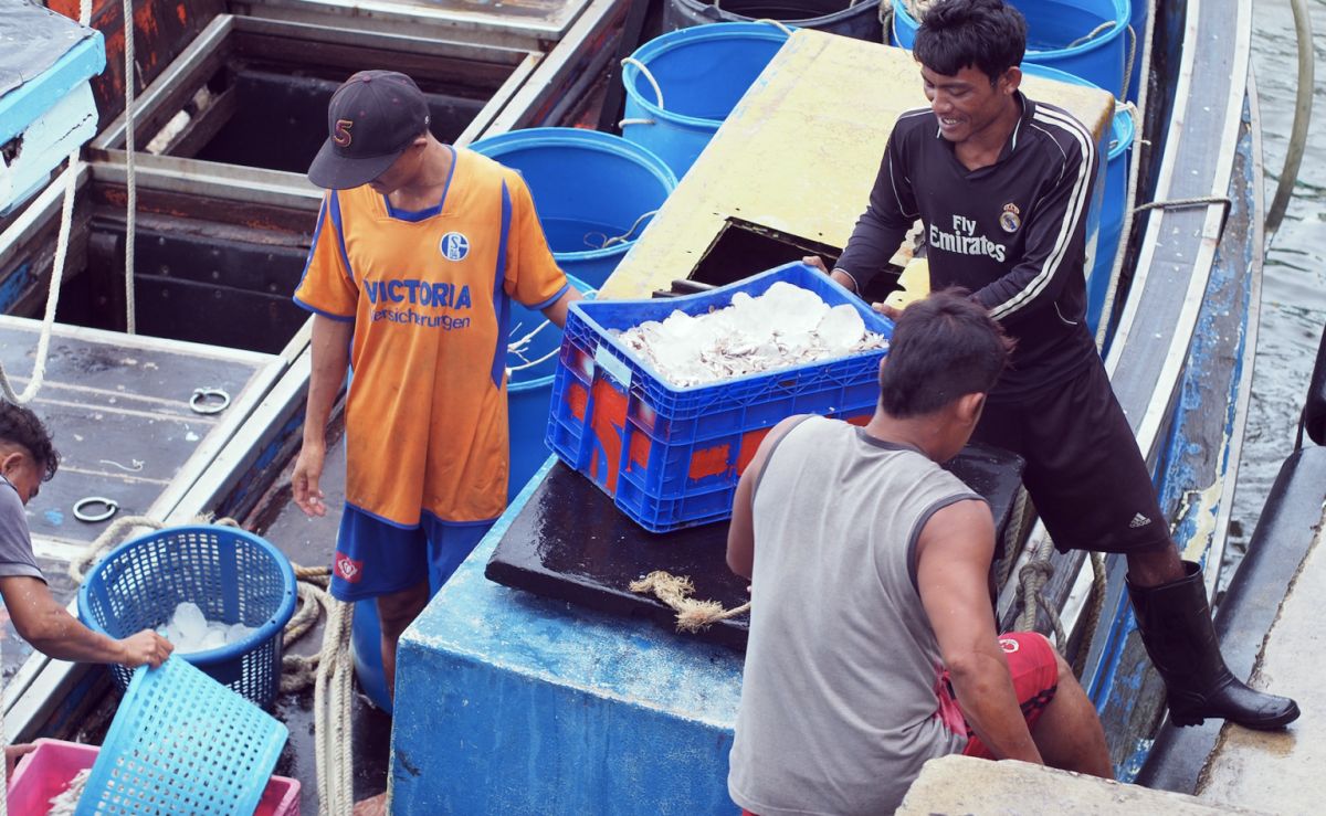 ▲漁工示意圖。