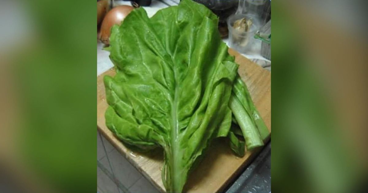 ▲有一名網友意外收到不知名的青菜，決定向知識淵博的大姐提問，沒想到其身世以及味道曝光後，瞬間引發討論。（圖／翻攝《爆廢公社》）