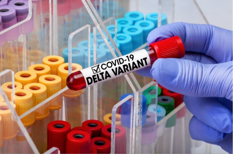 ▲歐洲疾病預防控制中心 (ECDC) 週三預告， 所有在歐盟傳播的SARS-CoV-2 病毒當中，Delta 變種病毒將於8 月底占90%。(突/擷取自Shutterstock)