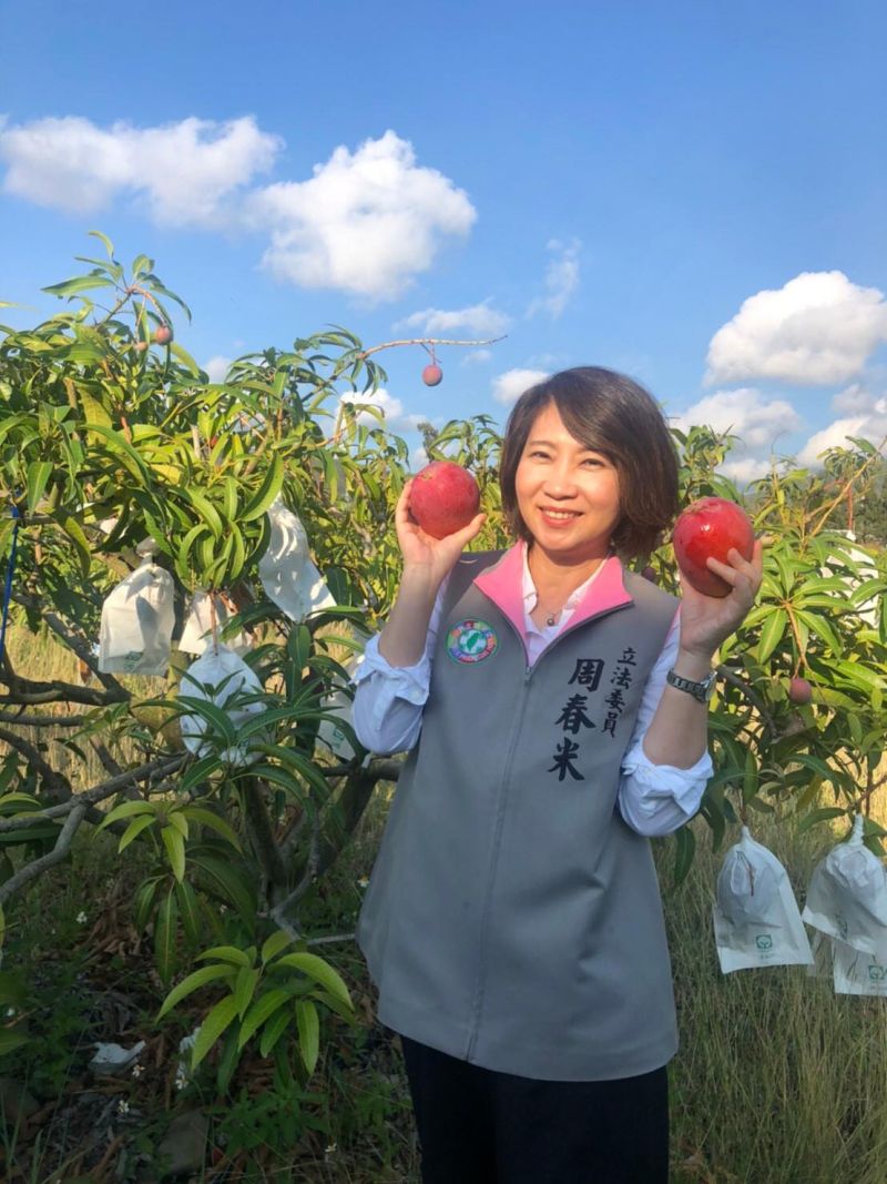 ▲民進黨立委周春米呼籲,不要以訛傳訛「病毒化」枋山的芒果。(圖/資料照)
