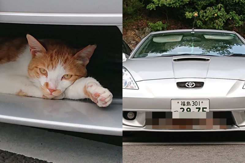 ▲男子走到停車場想開車，發現有隻貓咪躺在汽車的「進氣壩」中休息。（圖／Twitter@ pe39pe）