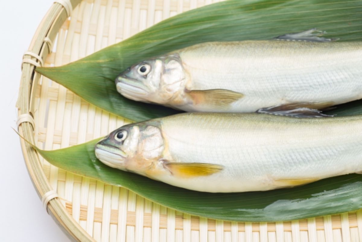 ▲一名女網友到美式大賣場「好市多」購買了一盒母箱魚，回家利用氣炸鍋料理，然而照片曝光後，卻引來網友歪樓留言。（示意圖，圖中人物與本文無關／翻攝photoAC）