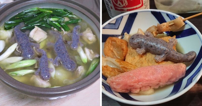 ▲大山椒魚蒟蒻經常被放於火鍋或湯內烹煮，而因為它奇特的顏色和形狀、紋路，許多網友看到後便表示「食慾直接減半」。(圖/擷取自推特 @oH5xOjJXMbyd6hu (左) 和 @@mikimiki719jaja (右)