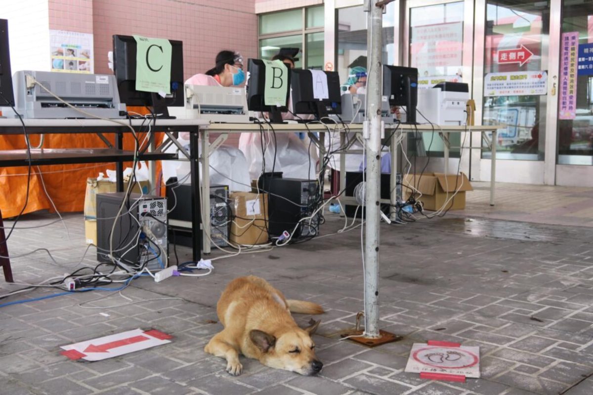 近日，衛生福利部醫院彰化分院的出現一隻暖心狗狗陪伴醫護人員。 (Photo courtesy of 衛生福利部彰化醫院/Facebook)